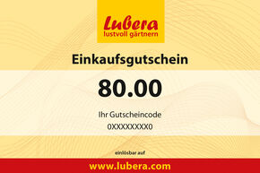 Bon pour des plantes 80.-