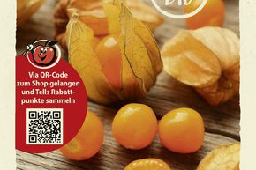 Physalis ou Amour en cage - graines