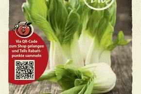 Salade asiatique (chou � la moutarde) Pak Choi - graines