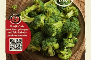 Brocoli 'Calabrese natalino' - graines