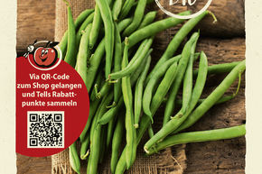 Haricots nains 'La Victoire' - graines