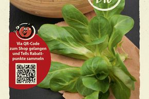 M�che 'Vit' - graines
