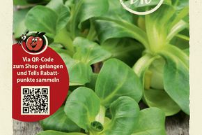 M�che 'Verte � coeur plein 2' - graines