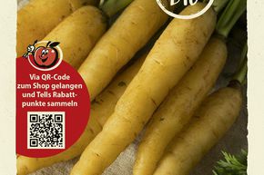 Carottes 'Jaune du Doubs' - graines
