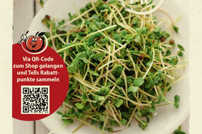 Microgreens Radis 'Mino Early' - graines