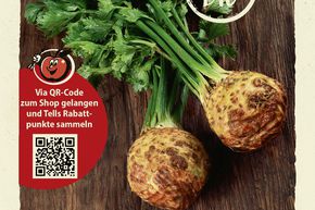 C�leri 'Monarch' - graines