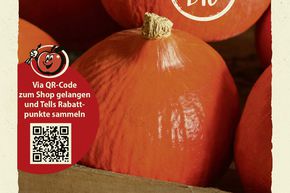 Courge 'Red Kuri' (Hokkaido) - graines