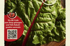 Bette � cardes, poir�e 'Rhubarb Chard' - graines