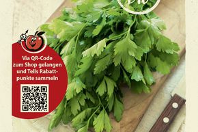Persil 'Walser Petersilie' - graines