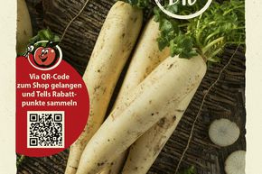 Radis 'Z�rcher Markt' - graines