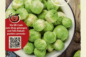 Chou de Bruxelles 'Groninger' - graines