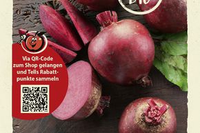 Betterave rouge 'Rote Kugel 2' - graines