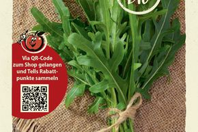 Roquette (roquette sauvage) - graines