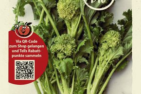 Chou � tige 'Cima di rapa' - graines
