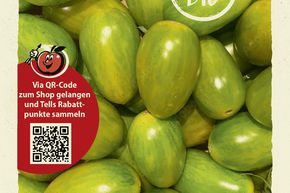 Tomates 'Artisan Green Tiger' - graines
