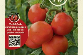 Tomates 'Kremser Perle' - graines