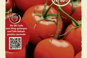 Tomates 'Matina' - graines