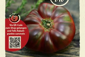 Tomates 'Noire de Crim�e' - graines
