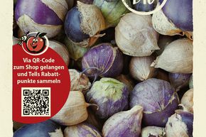 Tomatillo - graines