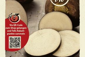Radis d'hiver 'Runder schwarzer Winter' - graines