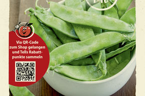 Pois mange-tout 'Weggiser' - graines