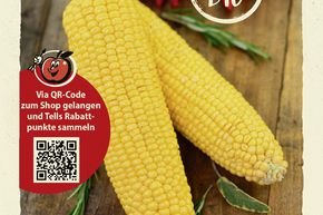Ma�s doux 'Golden Bantam' - graines
