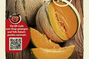 Melon doux 'Petit gris de Rennes' - graines