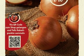 Oignons 'Gelbe Laaer' - graines