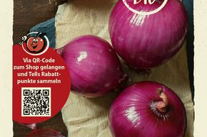 Oignons 'Rote Laaer' - graines