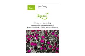Lychnis Coronaire