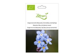 Myosotis, Bleu Ciel