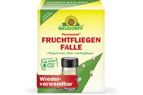 Pi�ge permanent � mouches des fruits