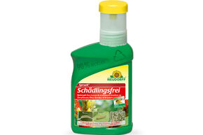 Spruzit - insecticide