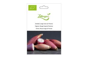 Oignon, Rouge Long de Florence