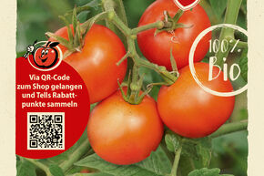 Graines de tomates OpenSky� 'Tombonne'