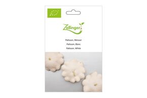 Courge Patisson, Blanc