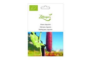 Petit Pois, Capucins