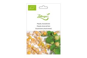 Physalis, Cerise de Terre