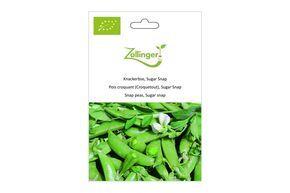 Pois Croquant, Sugar Snap