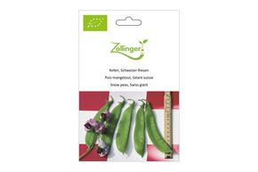 Pois Mangetout, G&eacute;ant Suisse