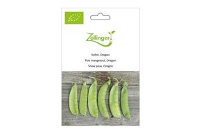Pois Mangetout, Oregon