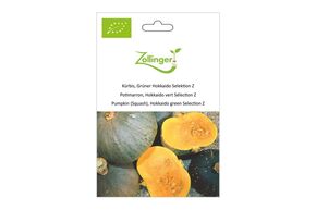 Courge Potimarron, Hokkaido Vert S&eacute;lection Z