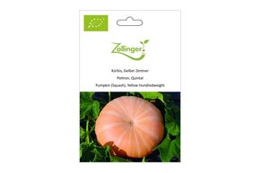Courge Potiron, Quintal