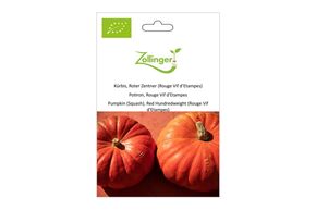 Courge Potiron, Rouge Vif d'&Eacute;tampes