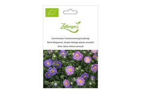 Reine Marguerite, Simple M&eacute;lange