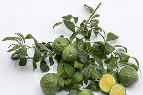 Citron vert australien rond