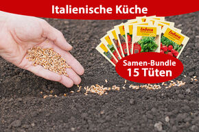 Lot de semences potag�res 'Italienische K�che' (Cuisine italienne) (15 sachets)