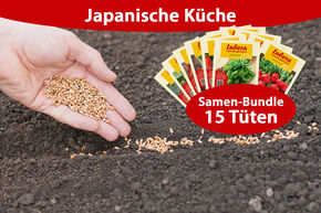 Lot de semences potag�res 'Japanische K�che' (Cuisine japonaise) (15 sachets)