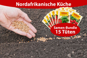 Lot de semences potag�res 'Nordafrikanische K�che' (Cuisine nord-africaine) (15 sachets)