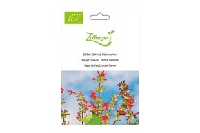 Sauge &Eacute;carlate, Petite Flamme